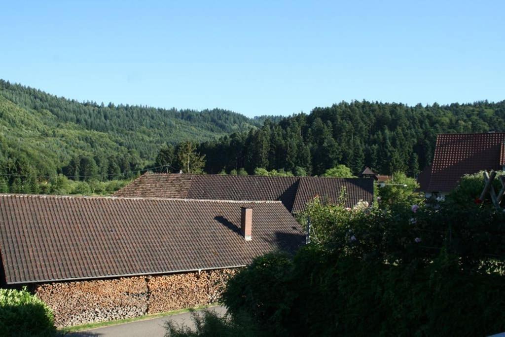 Ferienwohnung Hoehner Gengenbach Exterior foto